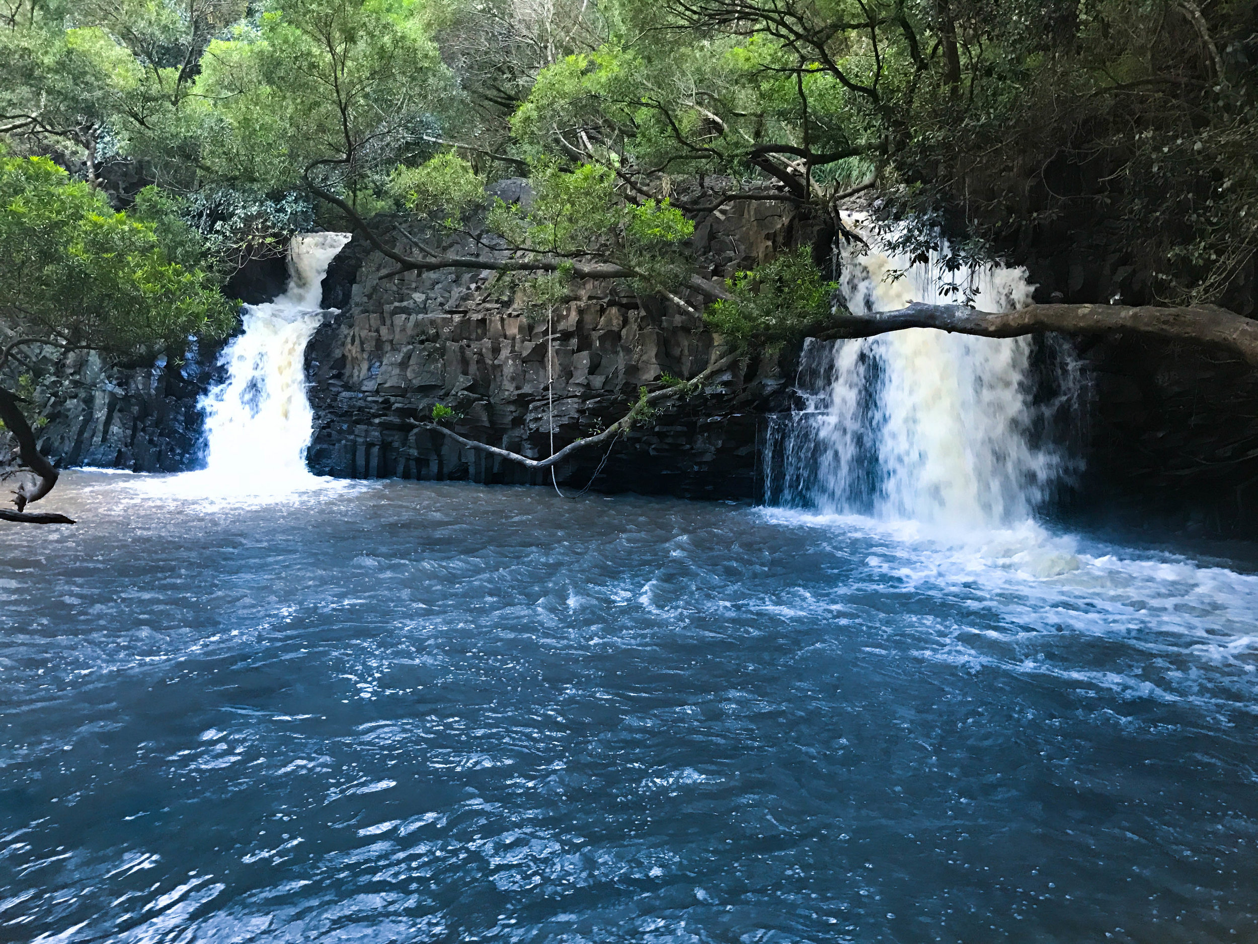 MAUI, HI