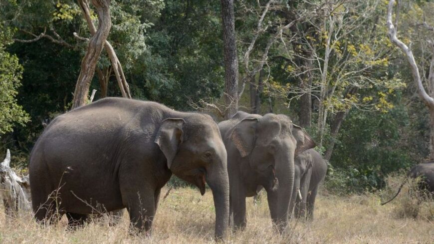 Barbil , Odisha, India