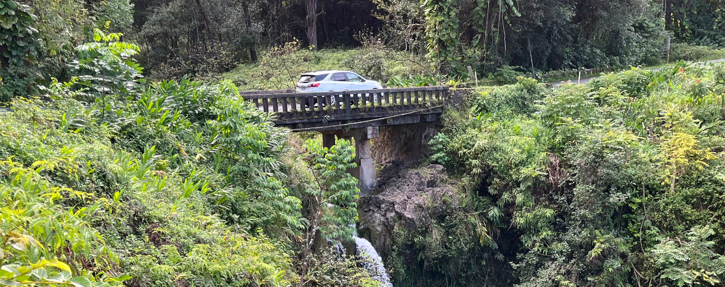 MAUI, HI