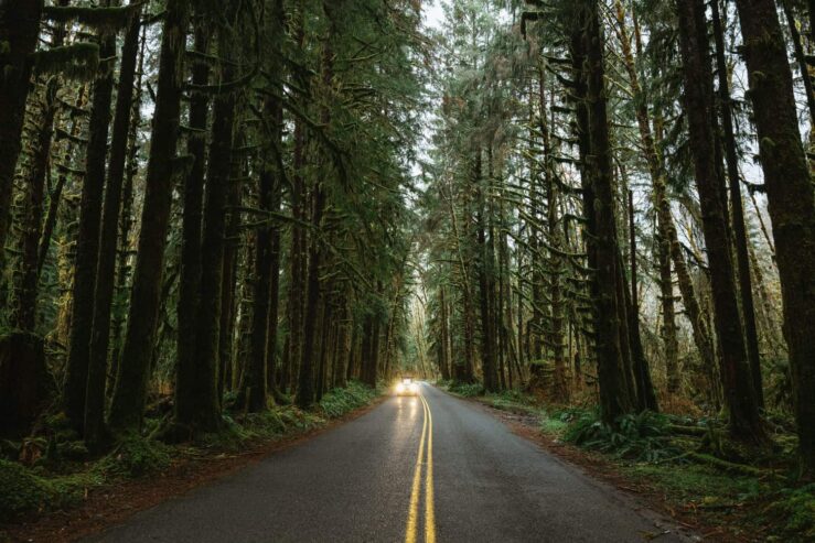 From Seattle – Twilight Forks Washington Tour