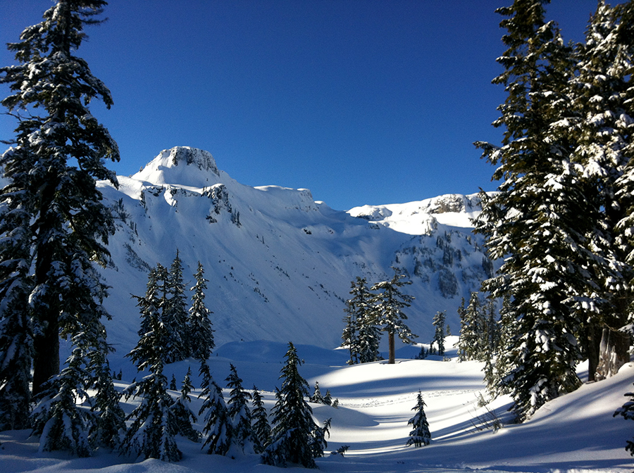 From Seattle – Private Mt Baker and Cascades Tour in SUV